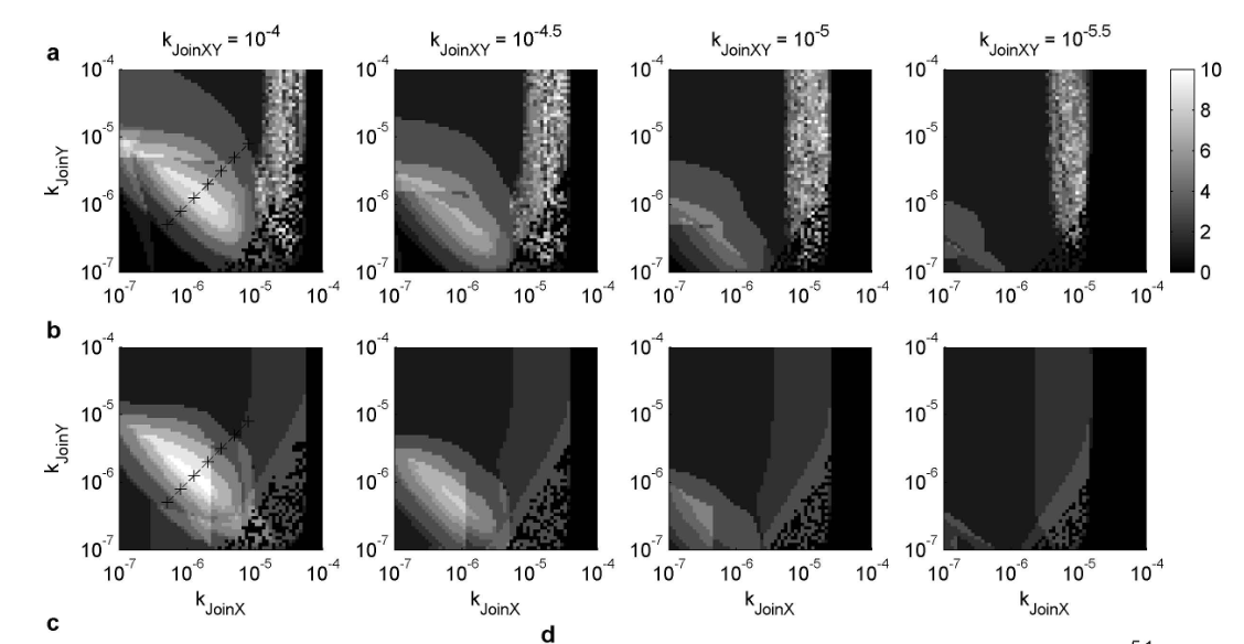 Figure 2: Reaction-Diffusion patterns in a Lotka-Volterra
oscillator.