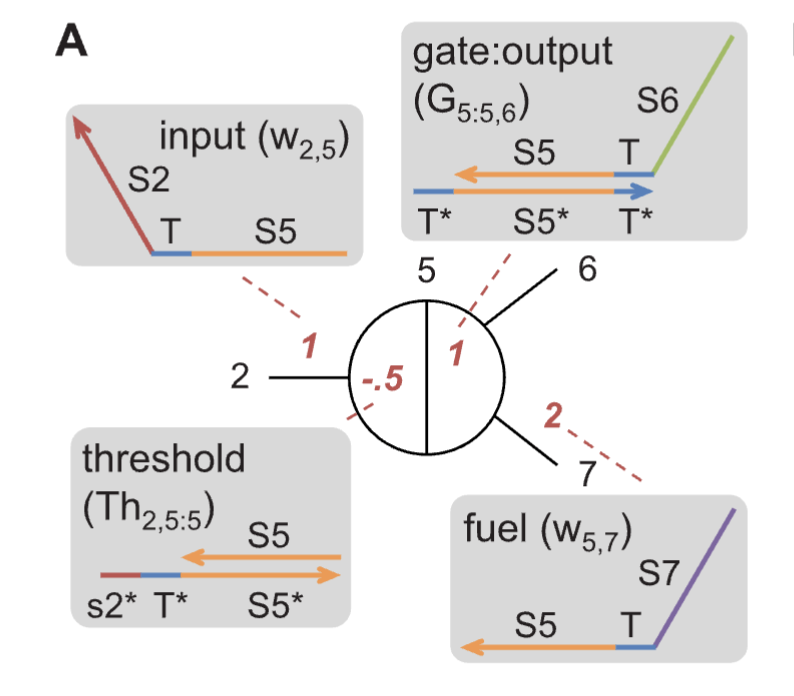 Figure 1: Seesaw gate
architecture